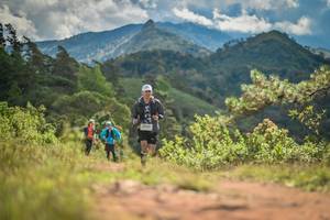 BIB: 
                            <button type="button" onclick="openModal(19255045)" class="btn btn-primary btn-sm float-right btn-popup" data-toggle="modal" data-target=".modal-high-quality">
                        <i class="fas fa-shopping-cart"></i> Add to Cart
                    </button>
                                            <button type="button" onclick="isThisMe(19255045, true)" class="btn btn-success btn-sm float-right btn-popup btn-isme hidden" data-toggle="tooltip" data-placement="bottom" title="นี่คือรูปของคุณใช่ไหม คลิกที่นี่เพื่อเอาเข้าอัลบั้ม">
                        <i class="fas fa-plus"></i> Add to album
                    </button>
                    <button type="button" onclick="isThisMe(19255045, false)" class="btn btn-warning btn-sm float-right btn-popup btn-isnotme hidden">
                        <i class="fas fa-ban"></i> Remove from album
                    </button>